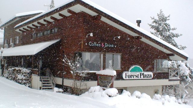 フォレストプラザ