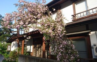 野沢温泉　源六＜長野県＞