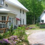 ペンション＆コテージ　植物誌